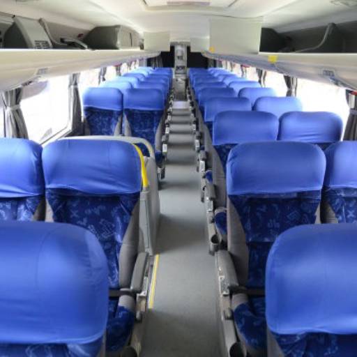 Ônibus Executivo G-7 1200  de 42 lugares por Barreto Turismo