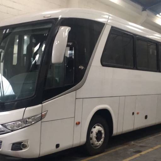 Comprar o produto de Ônibus Executivo Modelo G-7 Lugares de 40 a 44 Lugares em Viagens e Turismo pela empresa Barreto Turismo em Foz do Iguaçu, PR por Solutudo