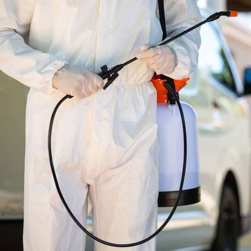 Dedetização e controle de pragas urbanas