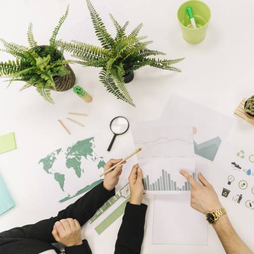 Elaboração de Projetos Ambientais