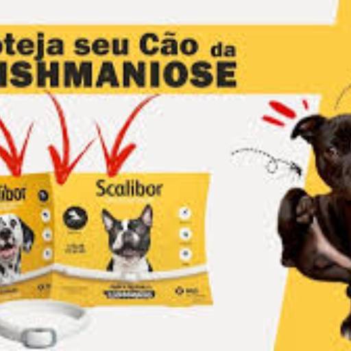 Comprar o produto de Scalibor em Veterinário pela empresa Almeida Agro Pet em Bauru, SP por Solutudo