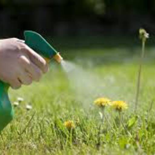 Mata Mato por Almeida Agro Pet