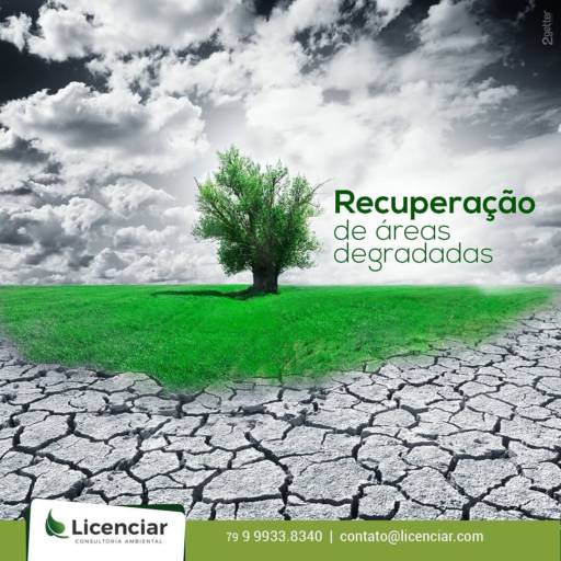 Comprar o produto de Recuperação de áreas degradadas  em Outros Serviços pela empresa Licenciar Consultoria Ambiental em Aracaju, SE por Solutudo