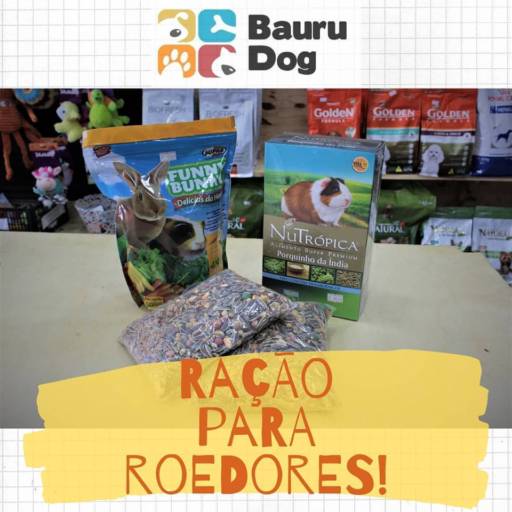 Comprar o produto de Ração para Roedores em Roedores pela empresa Bauru Dog em Bauru, SP por Solutudo
