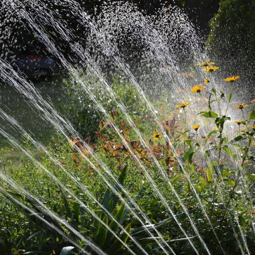  Manutenção de sistema de irrigação de Jardim em Bauru por Mais Verde Jardins
