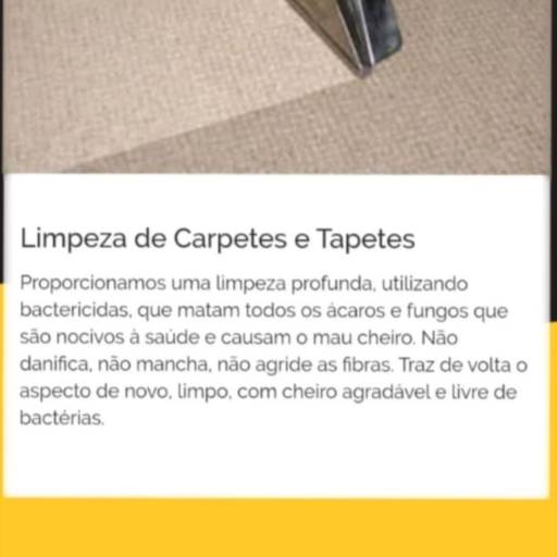 Limpeza de Carpetes e Tapetes