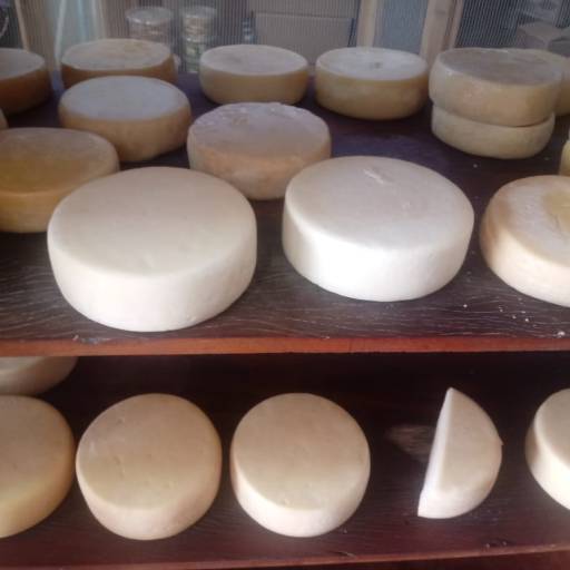 Queijo curado de Araxá