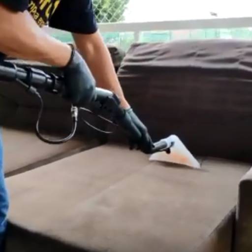 Limpeza Especializada 