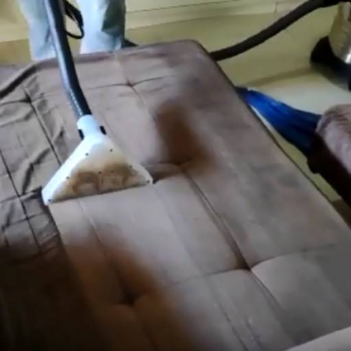 Limpeza Especializada 