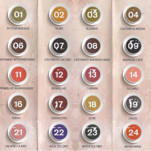 Pigmento Iron Works Castanho Intermediário N. 06 em Foz do Iguaçu, PR por Dermokob - Tudo para Micropigmentação