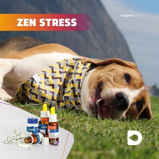 Linha de formulações fitoterápicas em Bauru