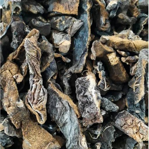 FUNGHI SECCHI por Mercearia Alimentos Naturais