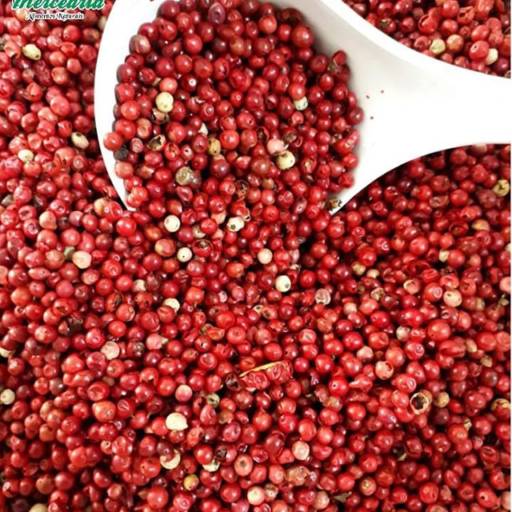 Pimenta Rosa por Mercearia Alimentos Naturais