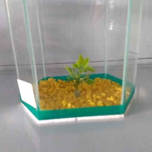 Aquário por Ranchão Agropecuária