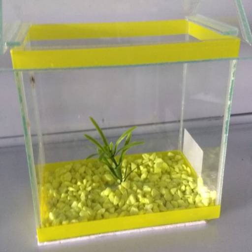 Aquário por Ranchão Agropecuária