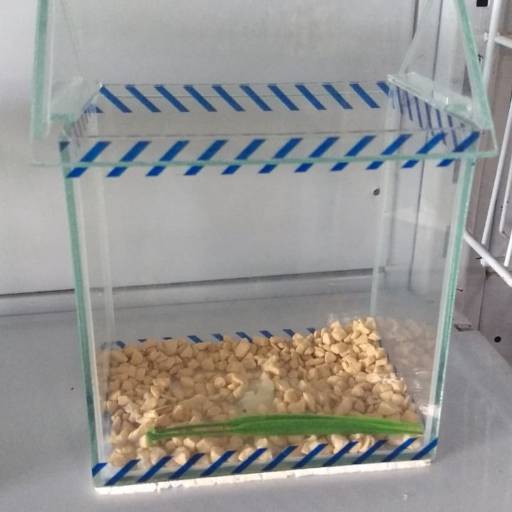 Aquário por Ranchão Agropecuária