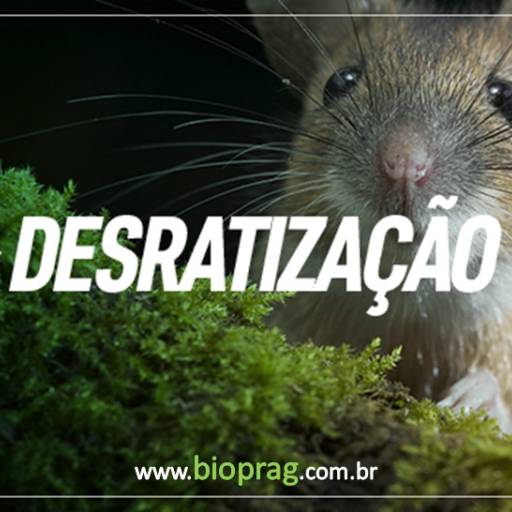 Comprar o produto de Desratização em Outros pela empresa Dedetizadora Bioprag Ltda em Tatuí, SP por Solutudo