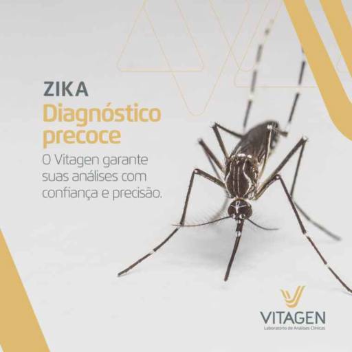 Comprar o produto de Exame de Zika Vírus em Exames  pela empresa Vitagen Laboratório de Análises Clínicas  em Foz do Iguaçu, PR por Solutudo