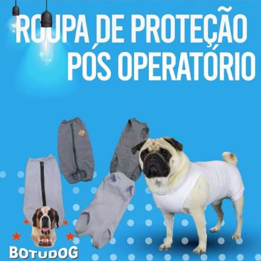Roupa de Proteção Pós Operatório por Botudog