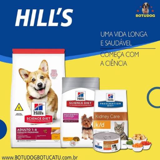 Ração para Cachorro por Botudog