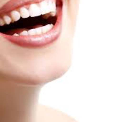 Comprar o produto de Carga Dentária em Bauru em Odontologia pela empresa Oral Sin Implantes em Bauru, SP por Solutudo