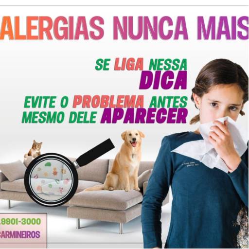 Higienização de Sofá