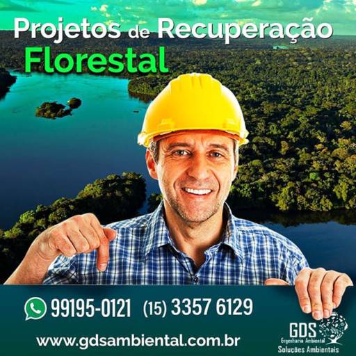 Recuperação Florestal!!