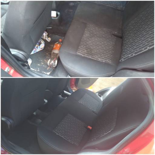 Higienização de Veículos