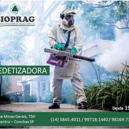 Comprar o produto de Dedetização em Outros Serviços pela empresa Dedetizadoa Bioprag - Piracicaba em Piracicaba, SP por Solutudo