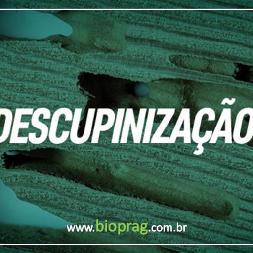 Descupinização por Dedetizadoa Bioprag - Piracicaba
