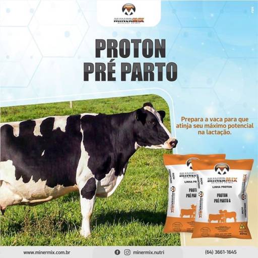 Comprar o produto de Proton Pré Parto  em Agro, Indústria e Comércio pela empresa Minermix Nutrição Animal em Mineiros, GO por Solutudo