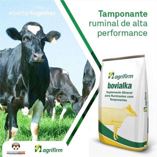Comprar o produto de Bovialka em Agro, Indústria e Comércio pela empresa Minermix Nutrição Animal em Mineiros, GO por Solutudo