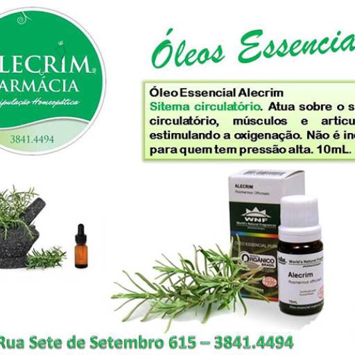 Comprar o produto de Óleos Essenciais!! em Fitoterápicos pela empresa Farmácia Alecrim em São Manuel, SP por Solutudo