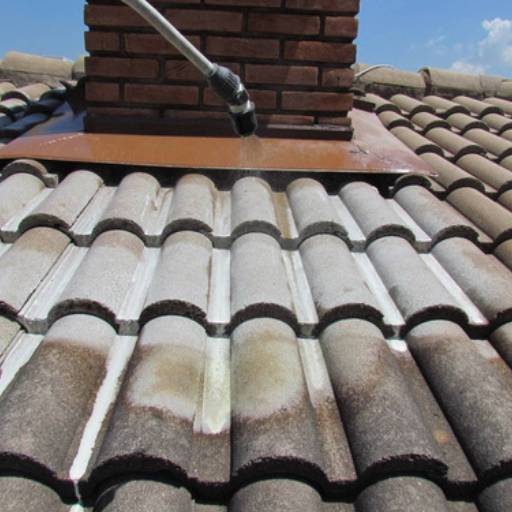 Limpeza Telhados e Forros por JD Dedetização e Limpeza