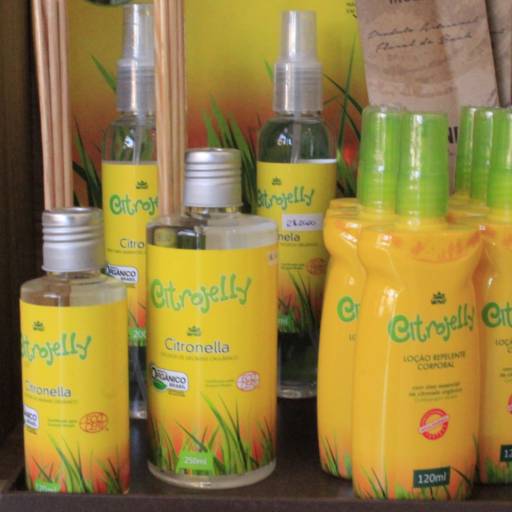 Citronela - Difusor de Aromas Orgânicos  por Farmácia e Manipulação Floreasca