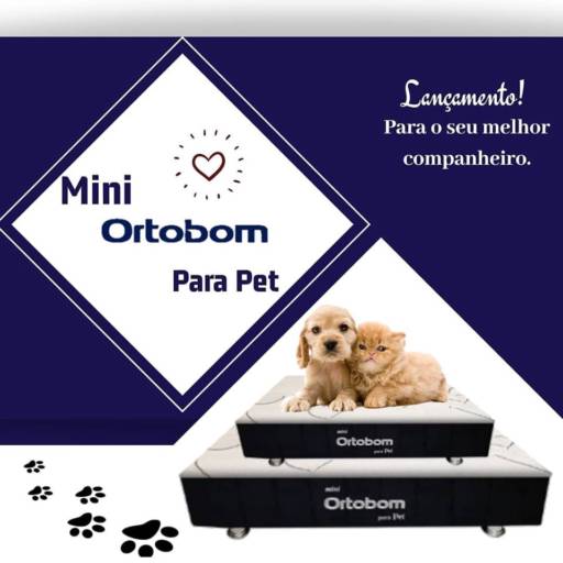 Comprar o produto de Mini Ortobom para Pet em Camas pela empresa Colchões Ortobom - São Manuel em São Manuel, SP por Solutudo