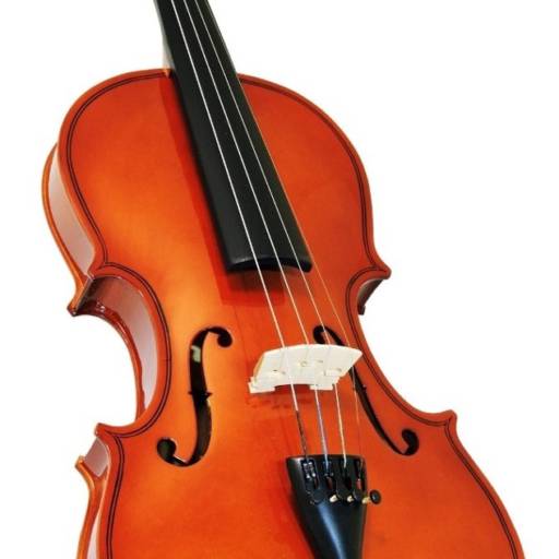 Comprar o produto de Aulas de violino em Escolas de Música pela empresa Bravo Academia de Música  em Bauru, SP por Solutudo