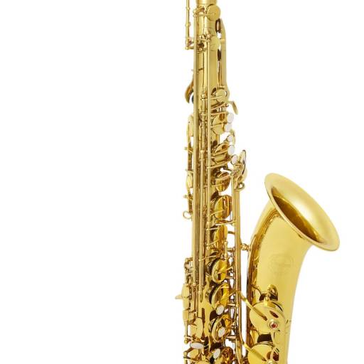 Aulas de saxofone por Bravo Academia de Música 