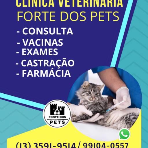 Banner Clínica Veterinária com procedimentos e telefones.