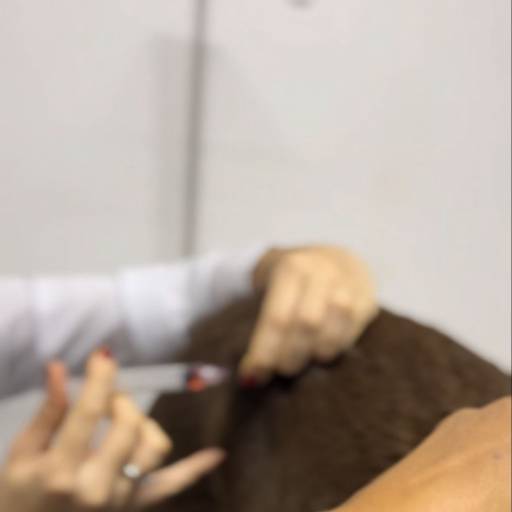 Clínica Veterinária por Forte dos Pets Praia Grande