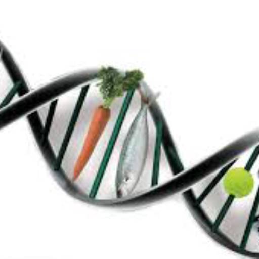  Teste Genético Nutricional  por Dra. Amanda Leal - Nutrição Personalizada PG