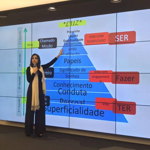 Palestra Gestão Avançada de Carreira INOVABRA Bradesco Agosto 2018 por Instituto Medical Meraki