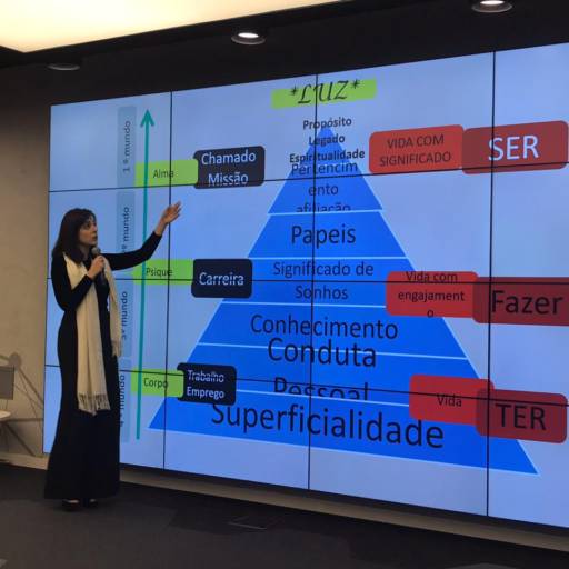 Palestra Gestão Avançada de Carreira INOVABRA Bradesco Agosto 2018 por Instituto Medical Meraki