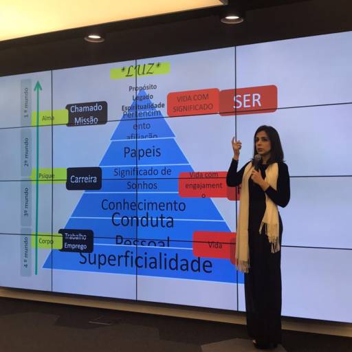Palestra Gestão Avançada de Carreira INOVABRA Bradesco Agosto 2018 por Instituto Medical Meraki