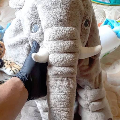 Limpeza e Higienização de Pelúcias