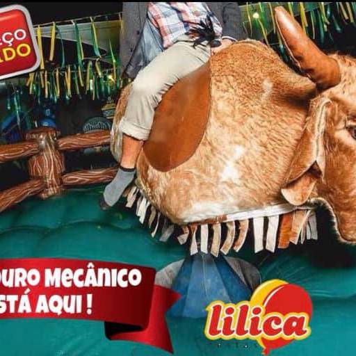 Aluguel de Brinquedos por Lilica Festas E Eventos