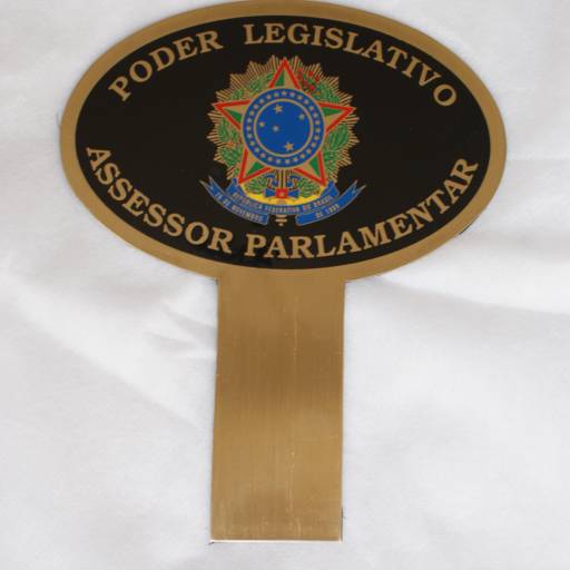 Placa Painel de Carro OVAL por Sinalplaca