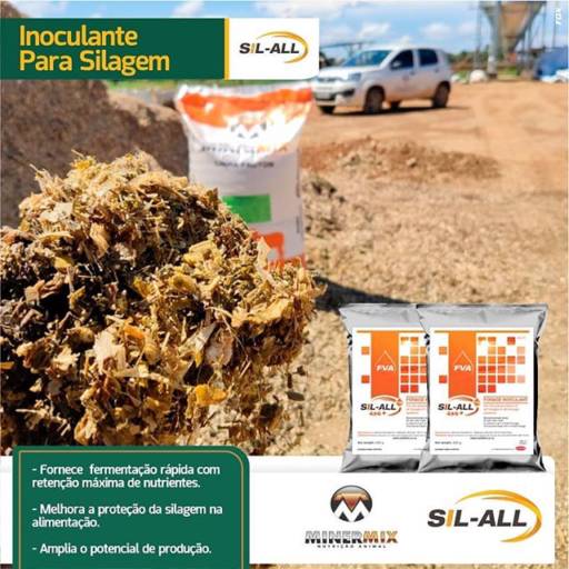 Comprar o produto de Sil-All em Indústria Agrícola pela empresa Minermix Nutrição Animal em Mineiros, GO por Solutudo