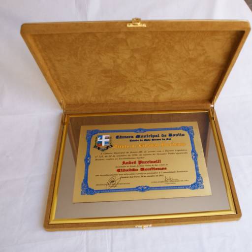 Placas em Estojo de Veludo