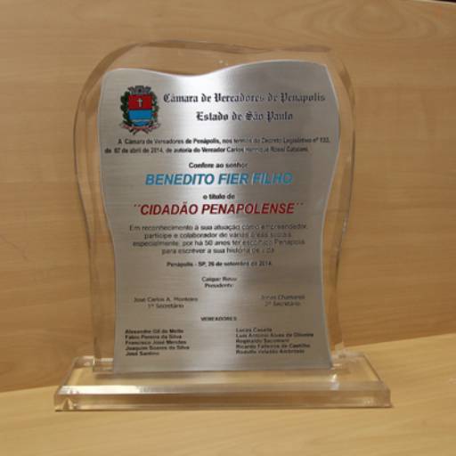 Troféu Acrílico e Aço Inox Título Cidadão